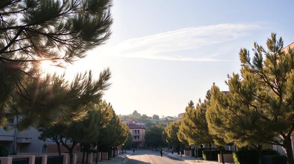 Climatisation à montpellier : un été frais pour tous les foyers